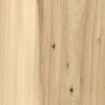 elm