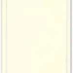 sand dollar paint sand dollar paint